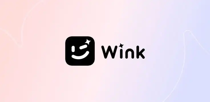 Wink Video Enhancing Tool 