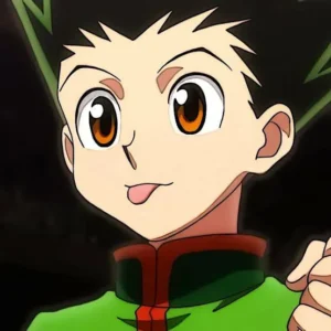Hunter X Hunter PPSSPP Icon