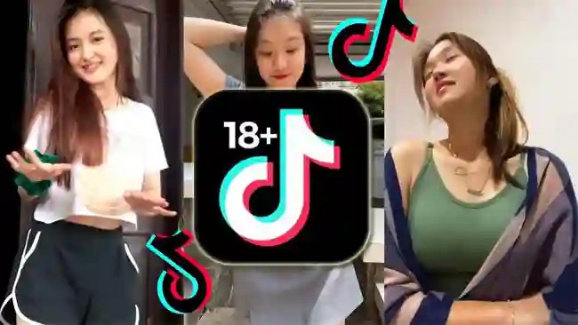 TikTok 18 Pulse Mod Apk Latest Version