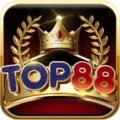 Top88 Mod Apk Icon